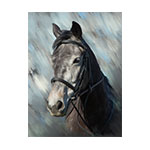 Click here to order an Oil painting style digital files