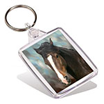 Click here to order an Oil Painting style portrait on a keyring