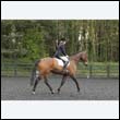durdress12_0002