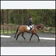 durdress12_0009