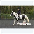 durdress12_0022