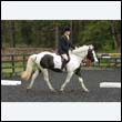 durdress12_0023