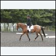 durdress13_0005