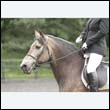 durdress13_0016