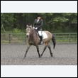 durdress13_0021
