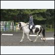 durdress13_0046