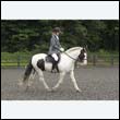 durdress13_0048