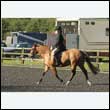 durdress14_0005