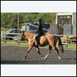 durdress14_0006