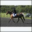 durdress14_0014