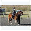 durdress15_0011