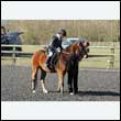 durdress15_0012