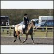 durdress15_0025