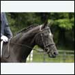 durdress16_0008