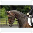 durdress16_0020