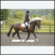 durdress16_0027