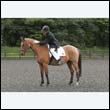 durdress3_0014