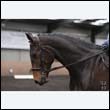 durdress9_0002