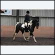 durdress9_0012