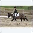 durdress9_0015