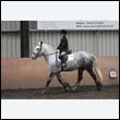 durdress9_0028