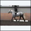 durdress9_0029