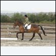 durdress9_0034