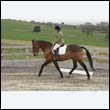 durdress9_0035