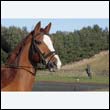 braes2010_0005