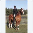 braes2010_0007