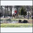braes2010_0027