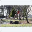 braes2010_0029