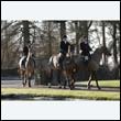 braes2010_0034