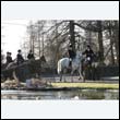 braes2010_0035