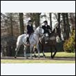 braes2010_0036