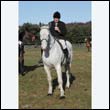 braes2010_0041