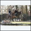 braes2010_0058