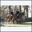 braes2010_0059