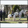 braes2010_0067