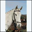 braes2010_0068