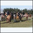 braes2010_0070