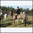 braes2010_0072