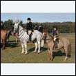 braes2010_0105