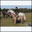 braes2010_0107