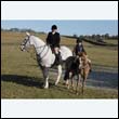 braes2010_0109