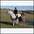 braes2010_0111