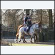 braes2010_0113