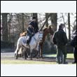 braes2010_0114