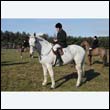 braes2010_0125