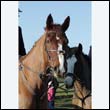 braes2010_0126
